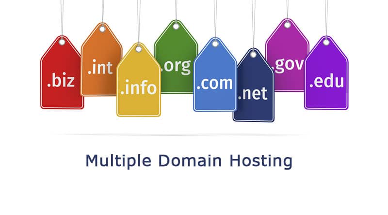 domain name registration